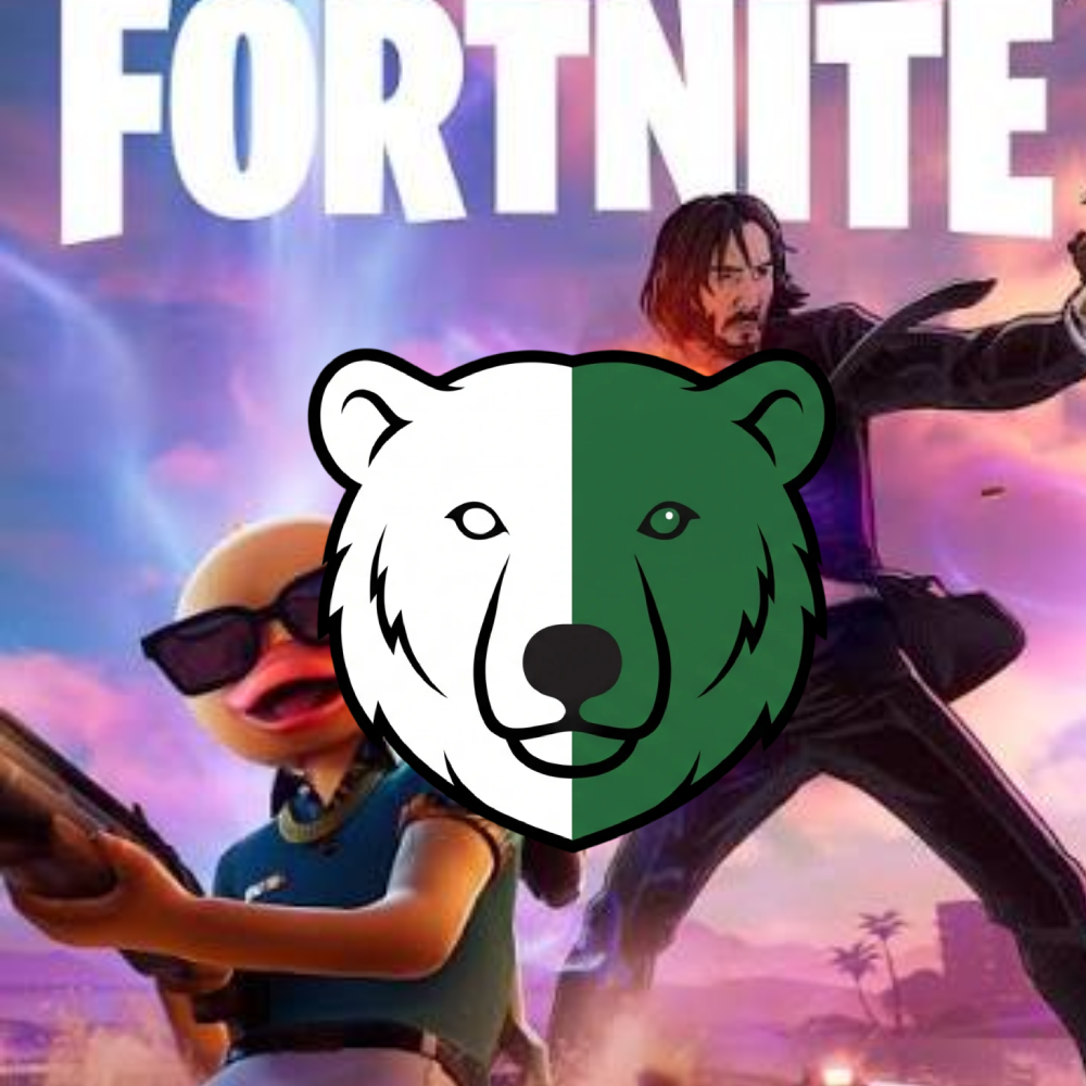 vita Fortnite